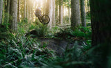 Transition Sentinel Alloy 90