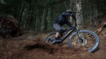 Amflow PL Pro Carbon 800wh | eMTB | 2025