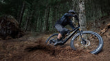 Amflow PL Pro Carbon 800wh | eMTB | 2025